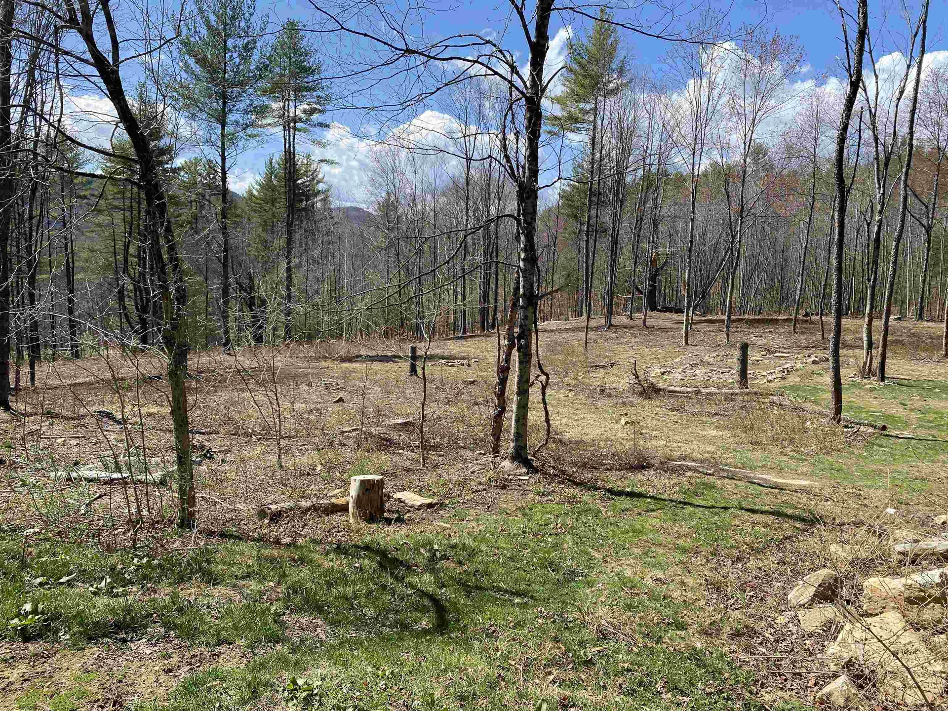 12 Sugar Lot Lane Jamaica VT 05343