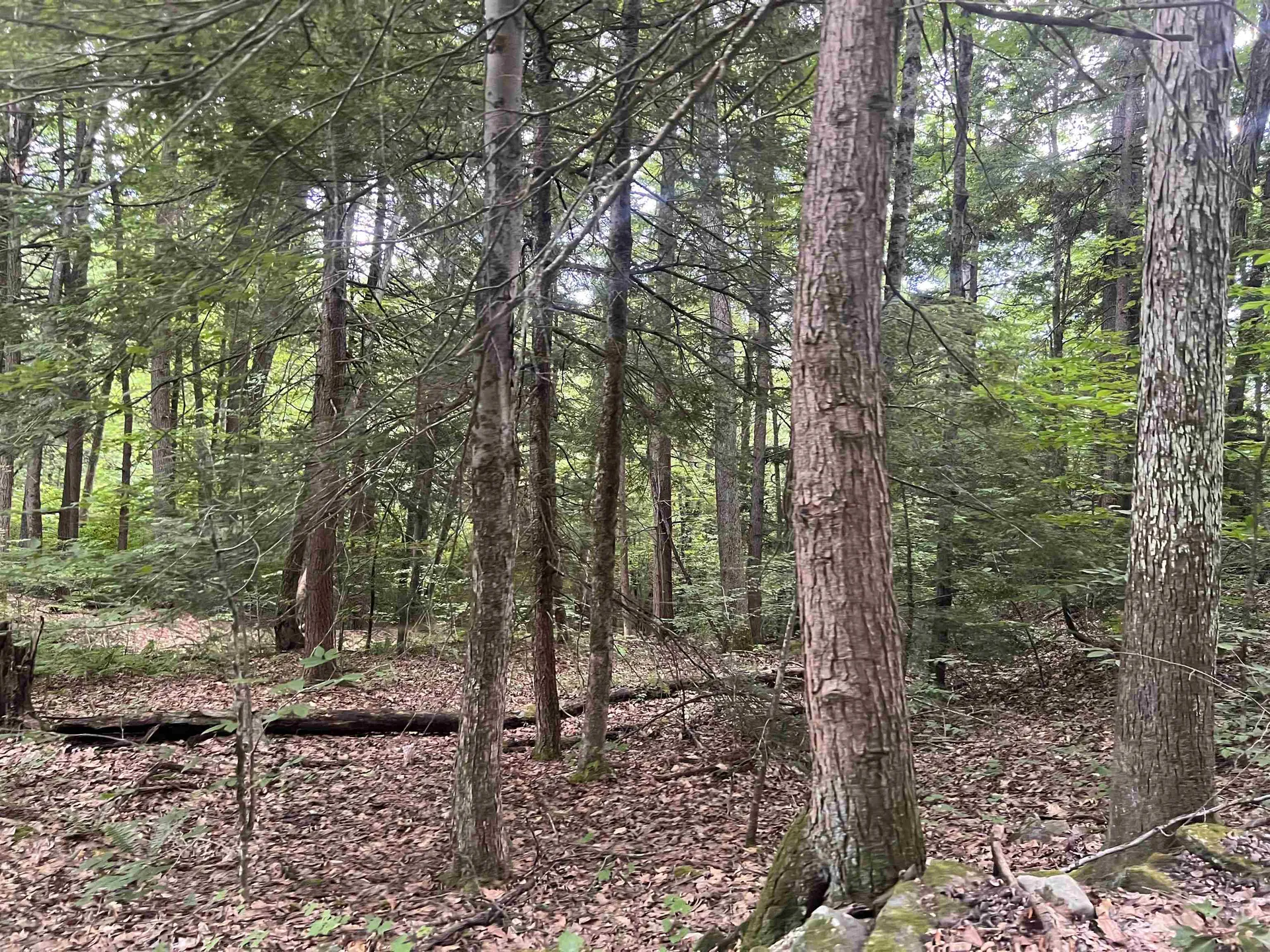 0 Esty Road Westmoreland NH 03467