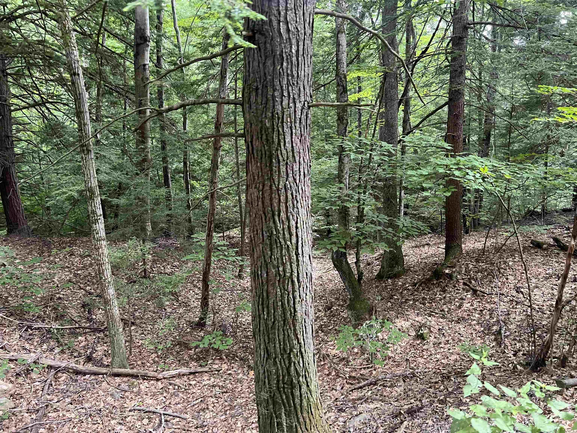 0 Esty Road Westmoreland NH 03467