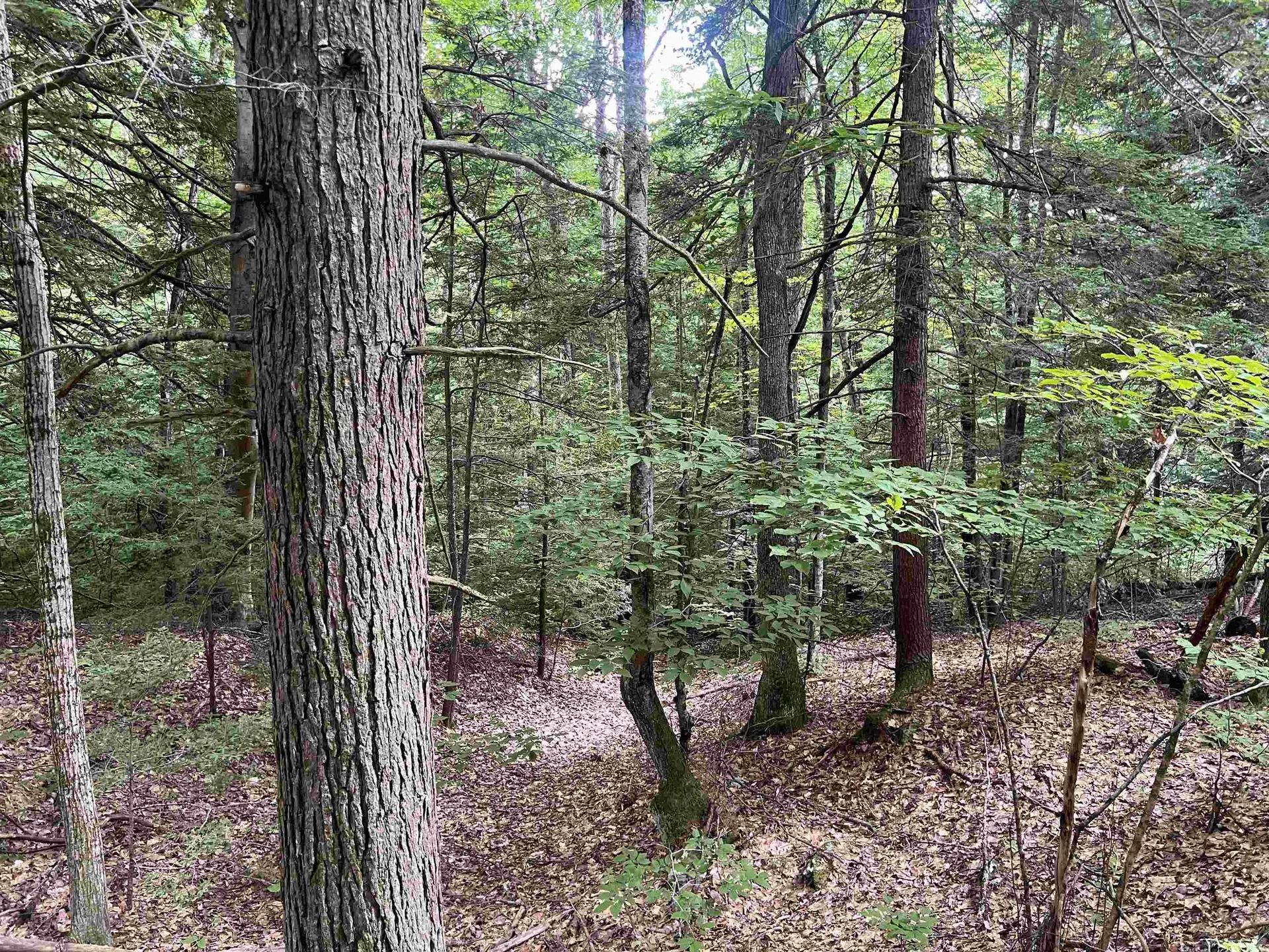 0 Esty Road Westmoreland NH 03467