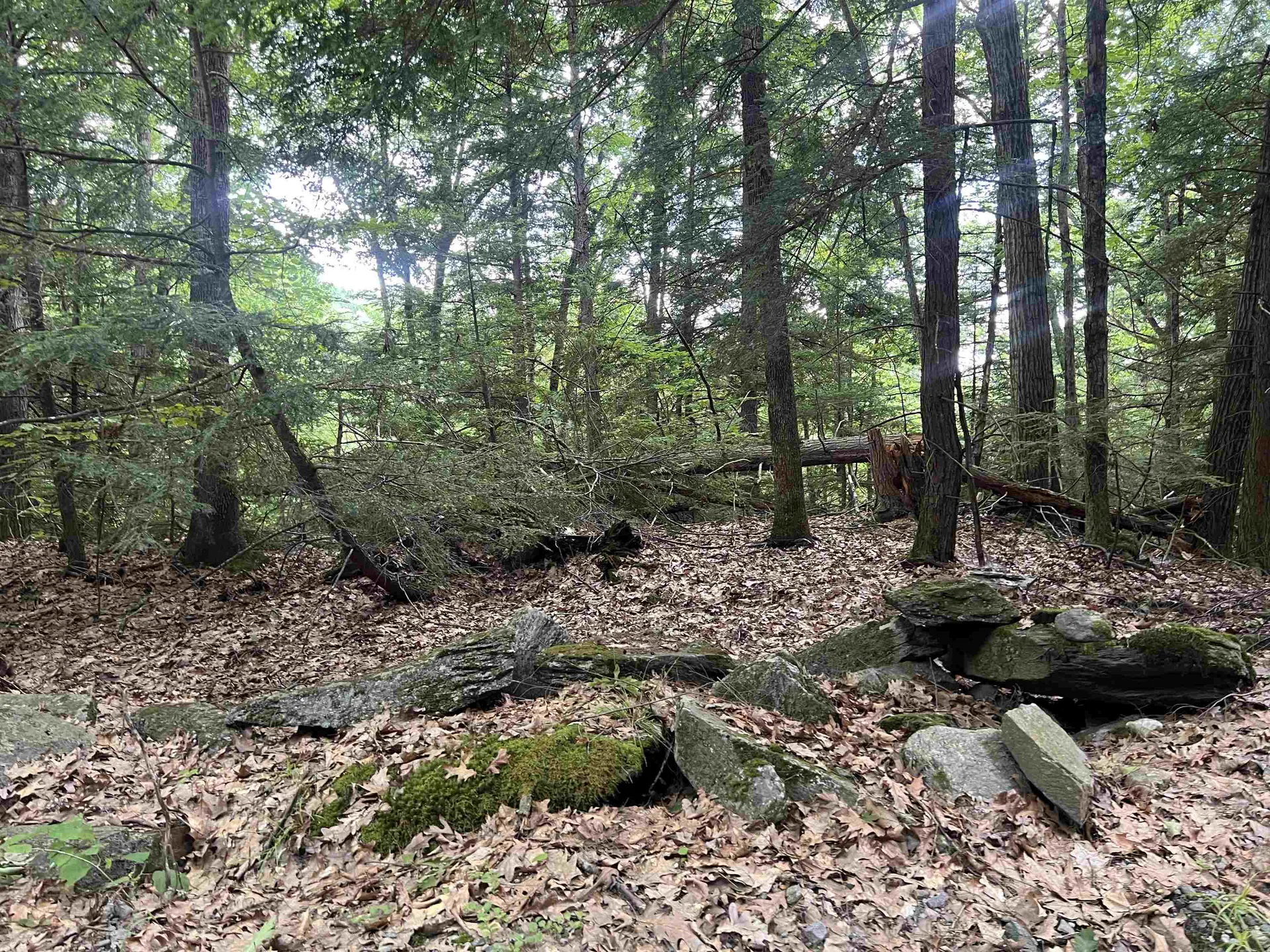 0 Esty Road Westmoreland NH 03467