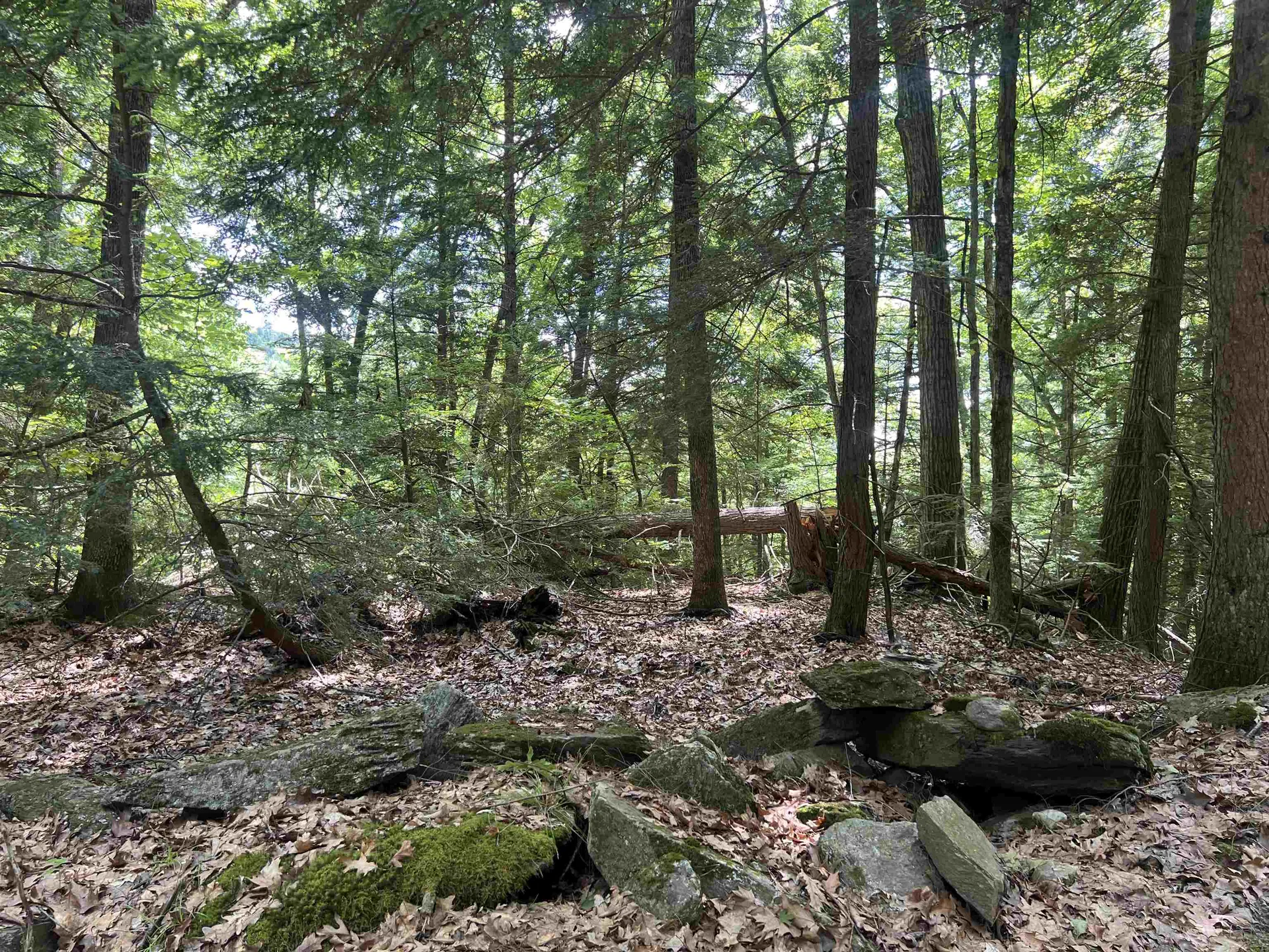 0 Esty Road Westmoreland NH 03467