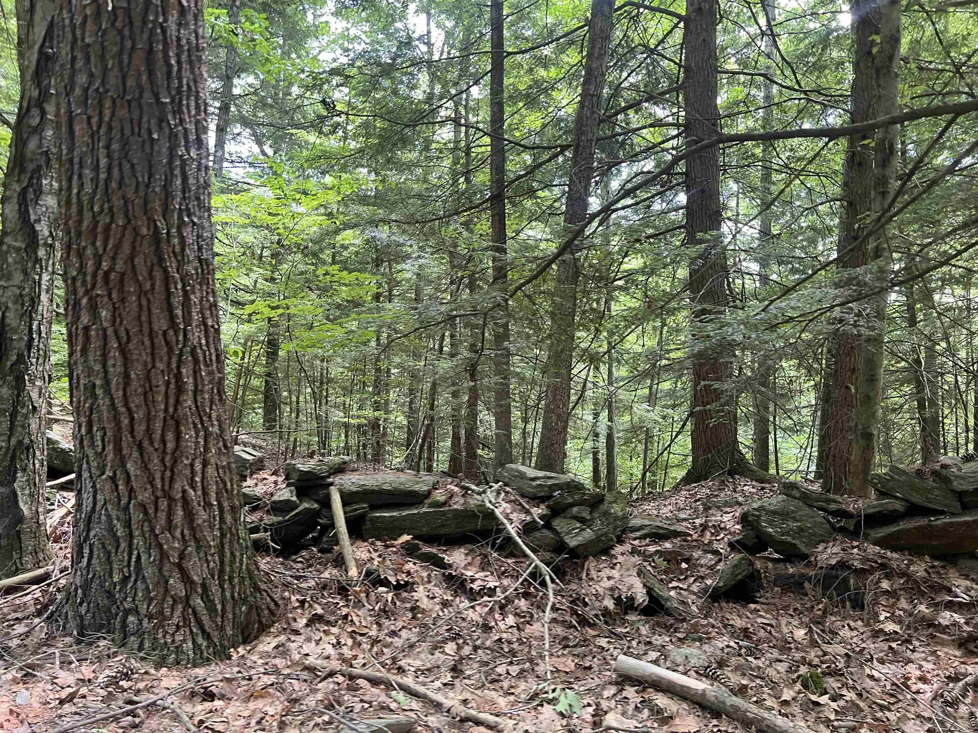 0 Esty Road Westmoreland NH 03467