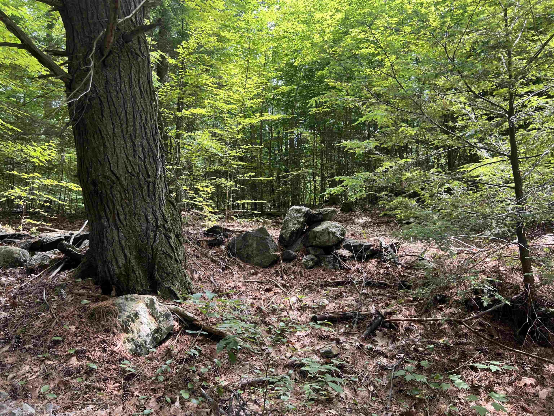 0 Esty Road Westmoreland NH 03467