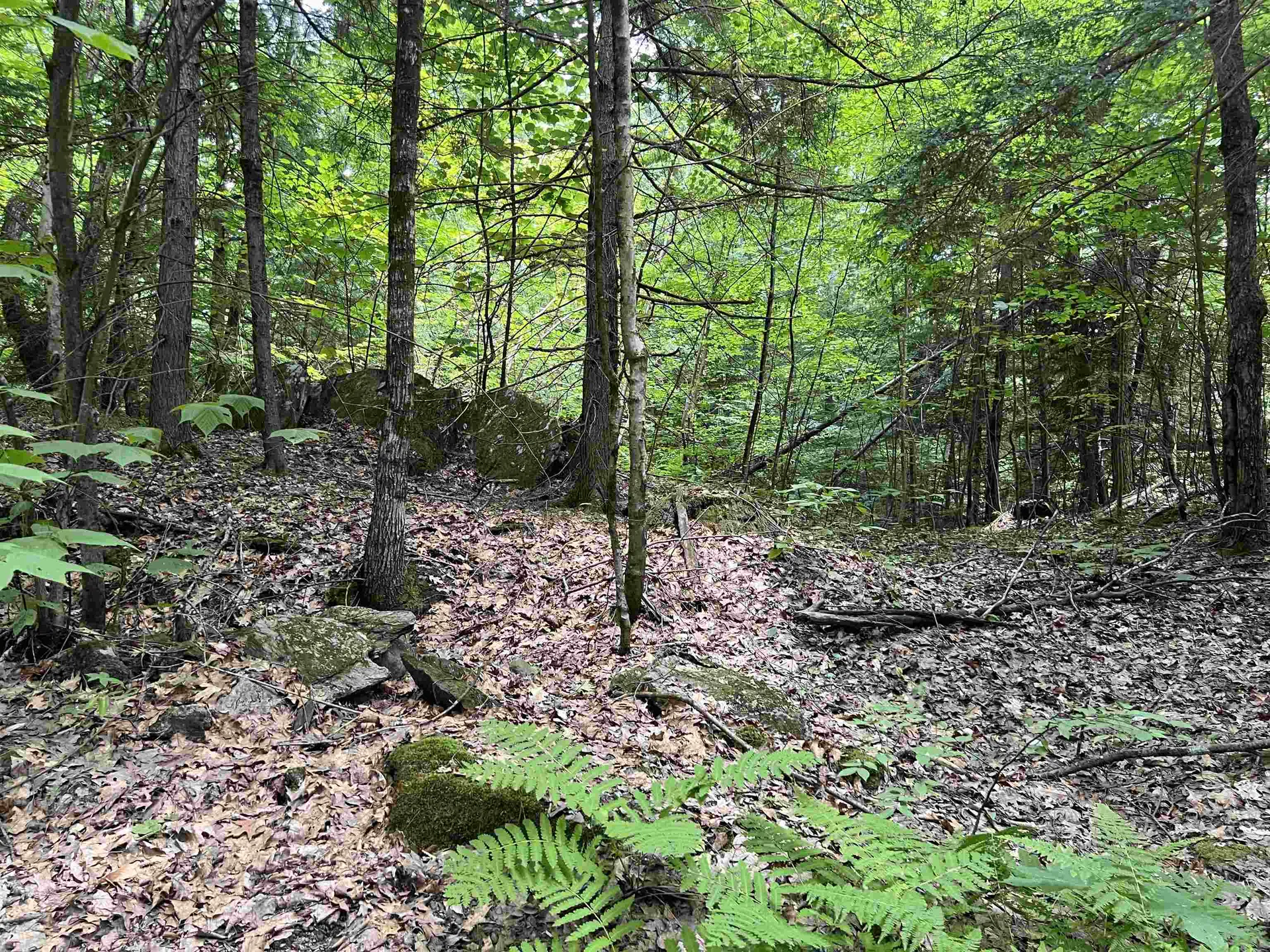 0 Esty Road Westmoreland NH 03467