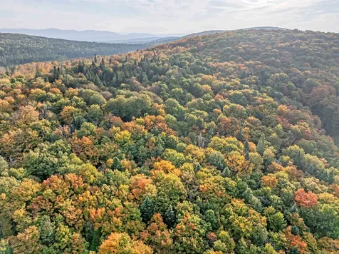 A1-5-5 Diamond Pond Road Stewartstown NH 03576