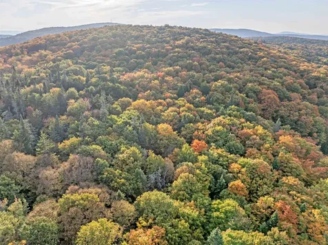 A1-5-5 Diamond Pond Road Stewartstown NH 03576