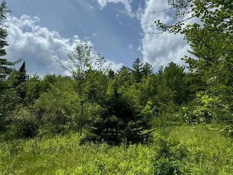 Coburn Hill Road Craftsbury VT 05826