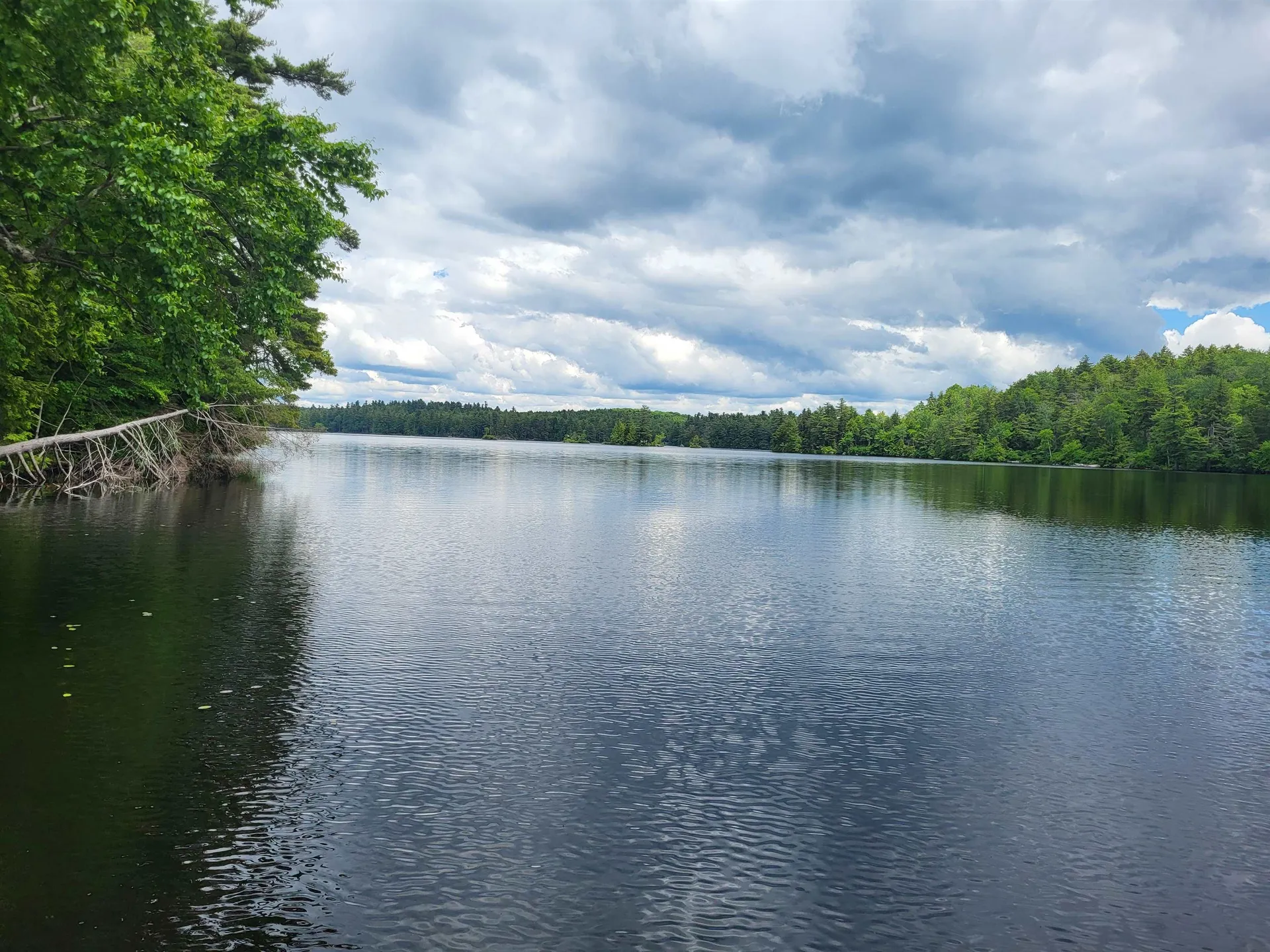 96 Mclaughlin Road Washington NH 03280