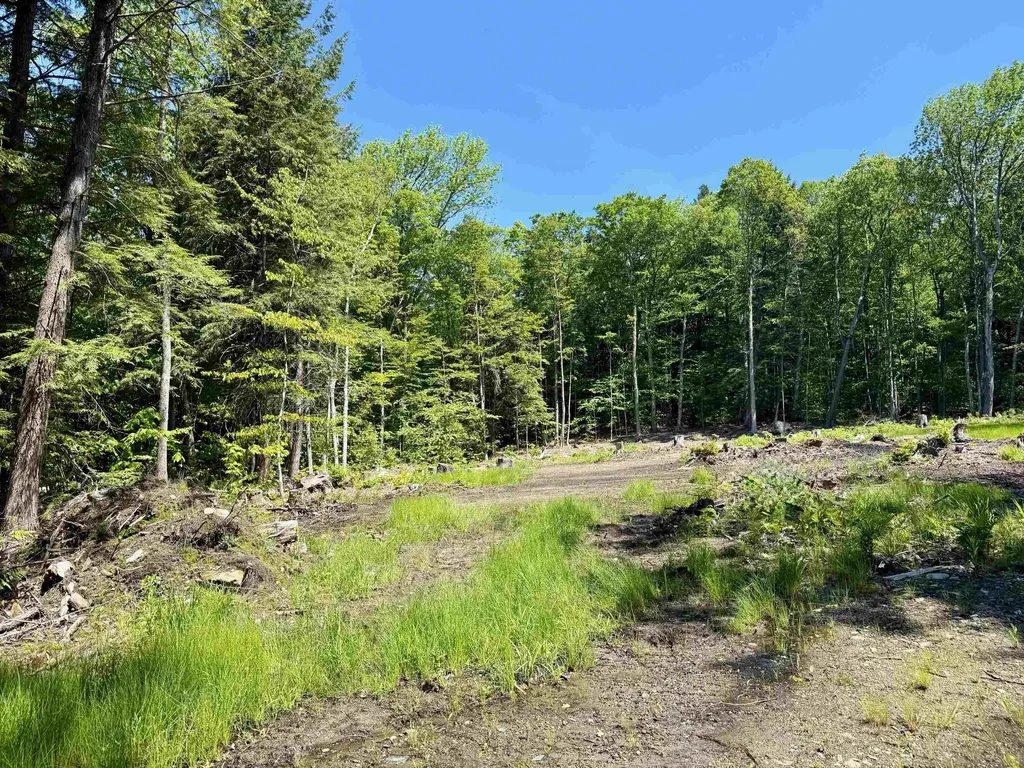 585 Sawmill Road Wardsboro VT 05360