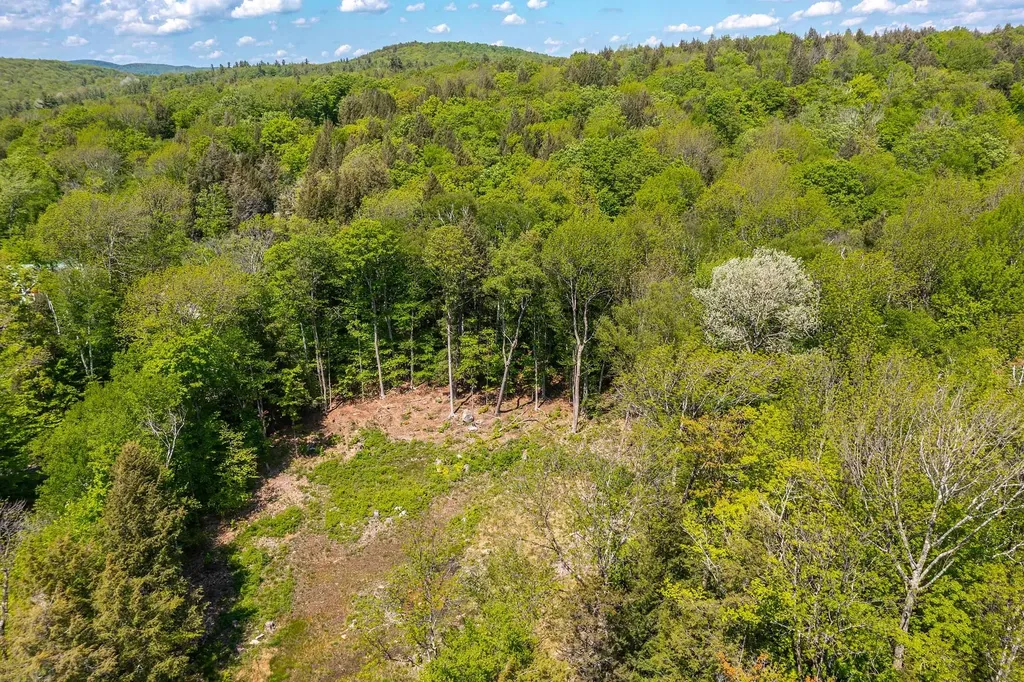 585 Sawmill Road Wardsboro VT 05360