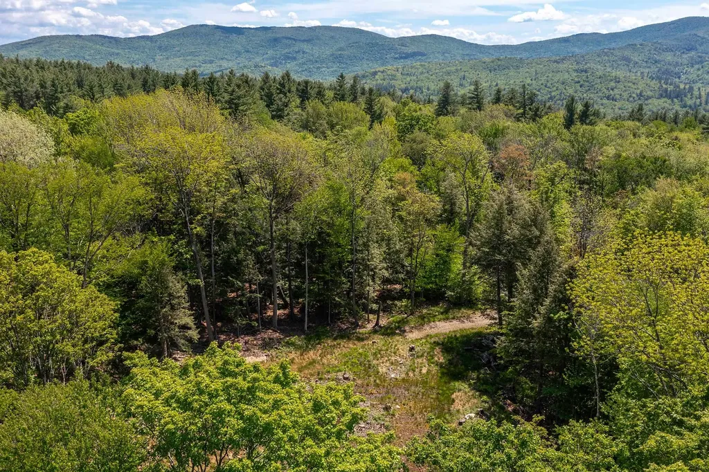 585 Sawmill Road Wardsboro VT 05360