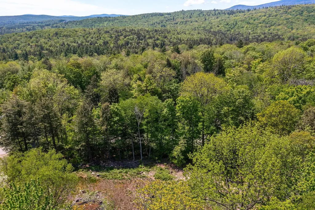 585 Sawmill Road Wardsboro VT 05360