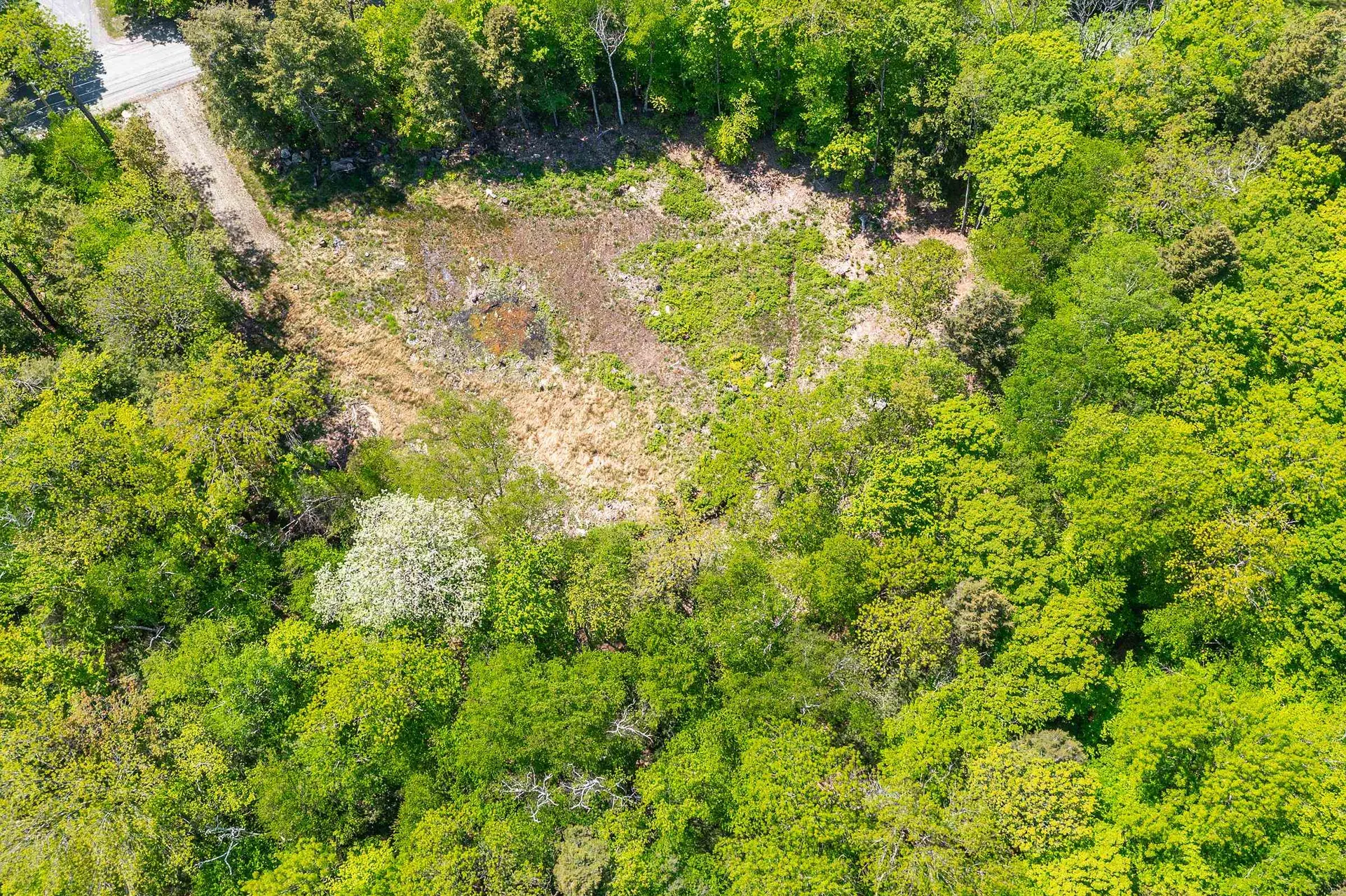 585 Sawmill Road Wardsboro VT 05360