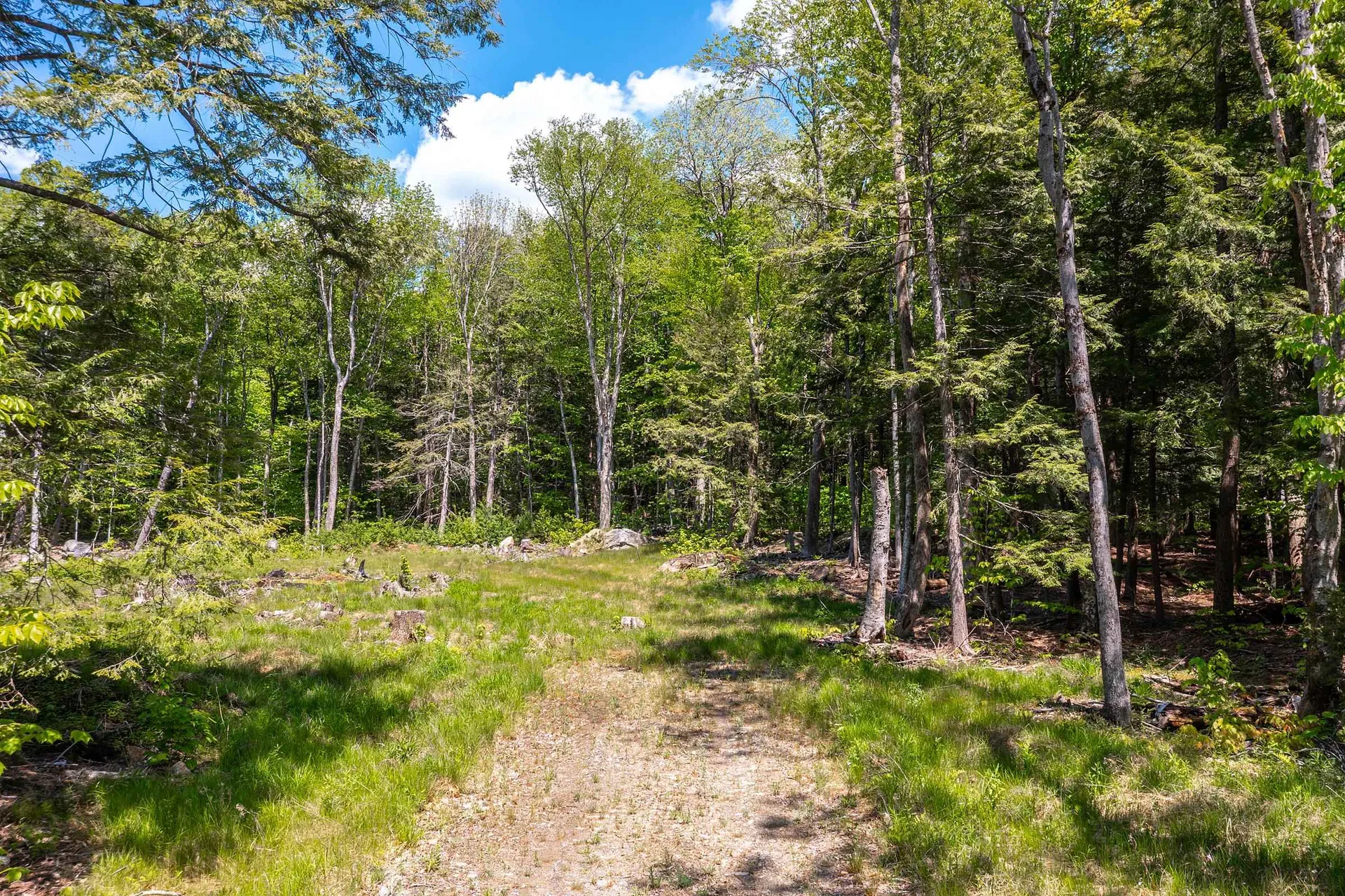 585 Sawmill Road Wardsboro VT 05360