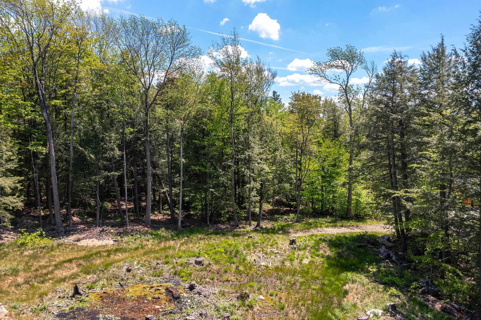 585 Sawmill Road Wardsboro VT 05360
