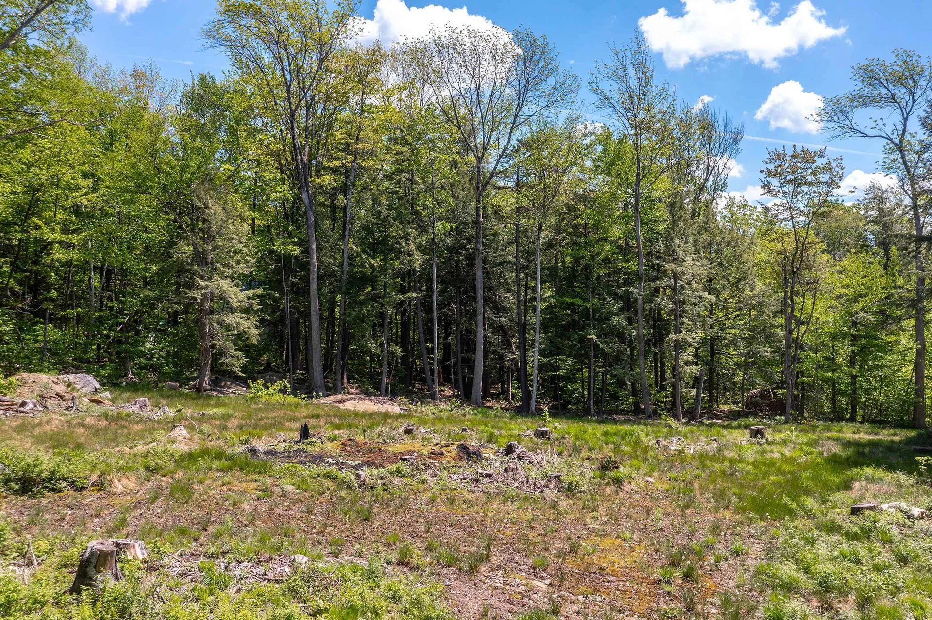 585 Sawmill Road Wardsboro VT 05360