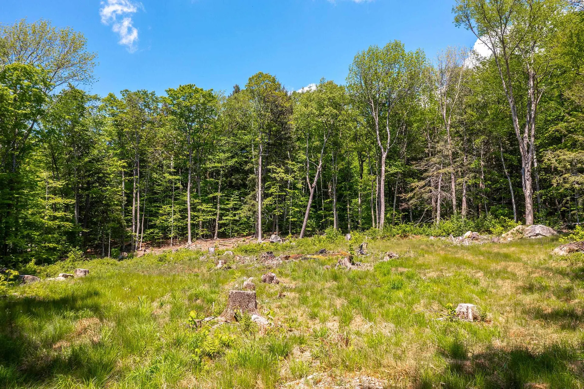 585 Sawmill Road Wardsboro VT 05360