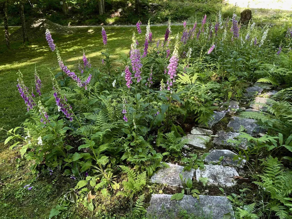 299 Campbell Road Sandgate VT 05250