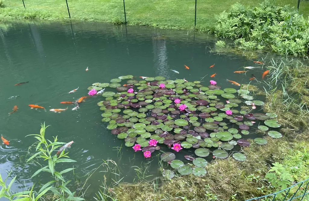 299 Campbell Road Sandgate VT 05250