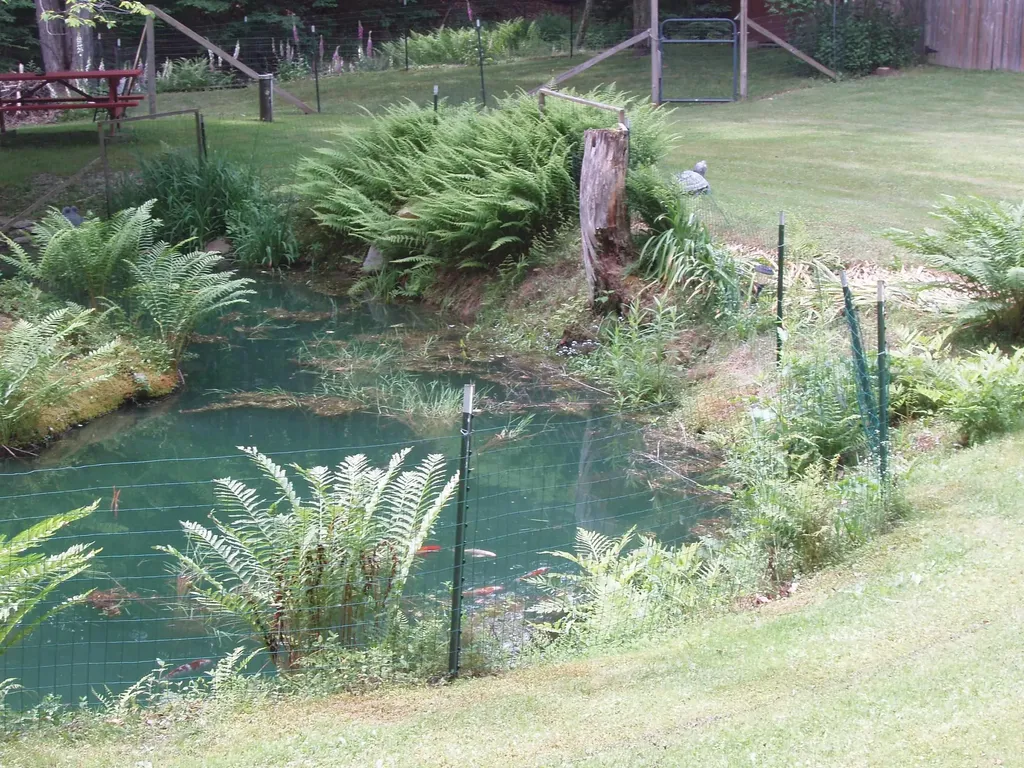 299 Campbell Road Sandgate VT 05250