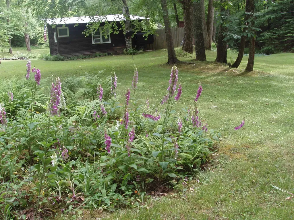 299 Campbell Road Sandgate VT 05250