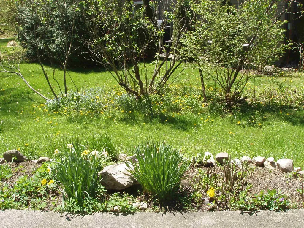 299 Campbell Road Sandgate VT 05250