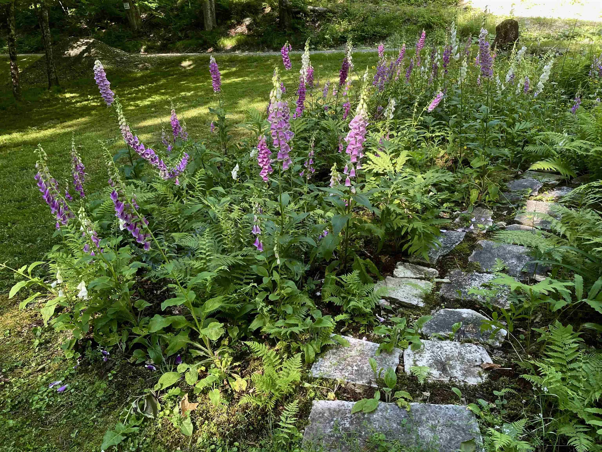 299 Campbell Road Sandgate VT 05250