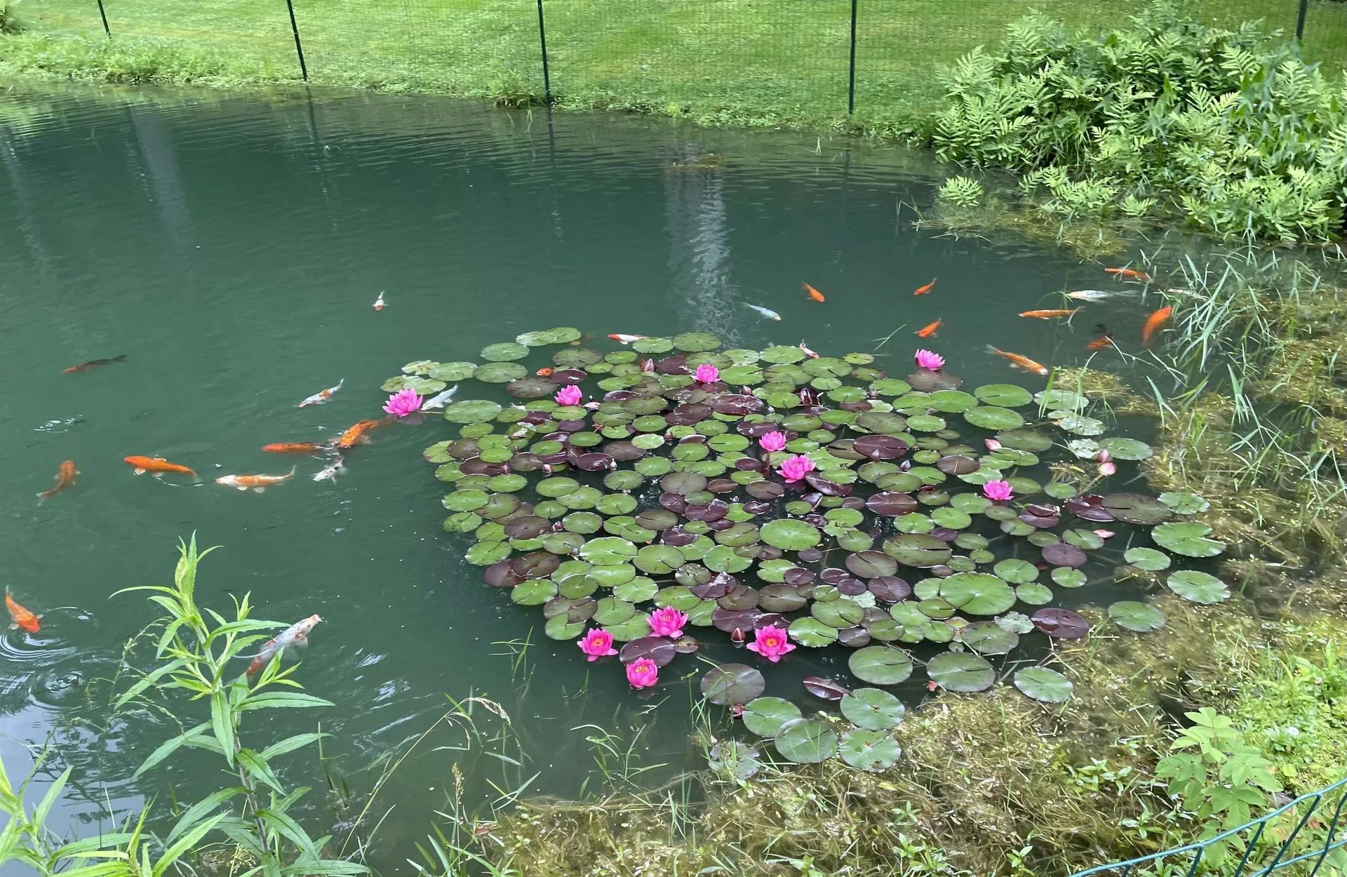 299 Campbell Road Sandgate VT 05250