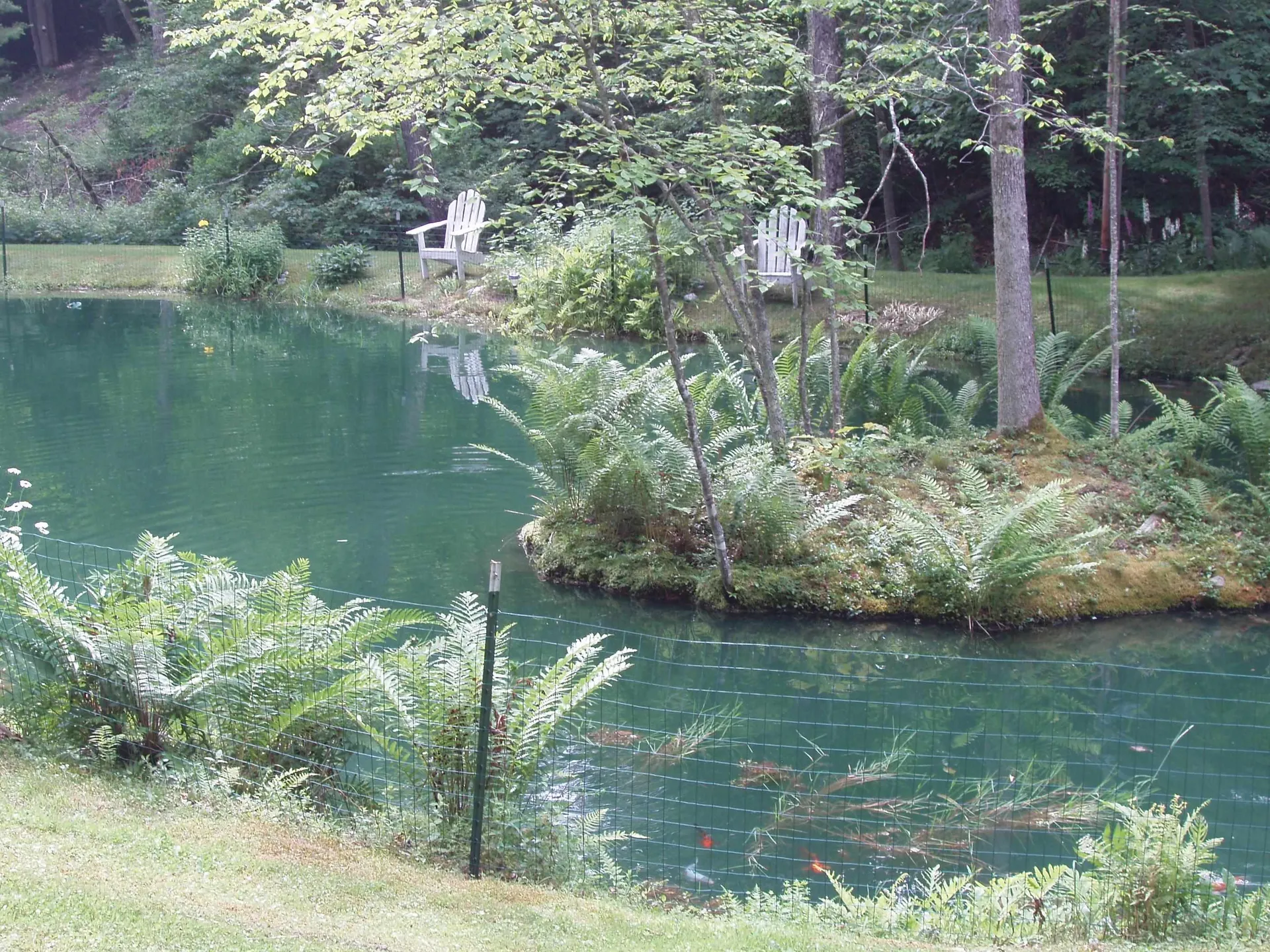 299 Campbell Road Sandgate VT 05250