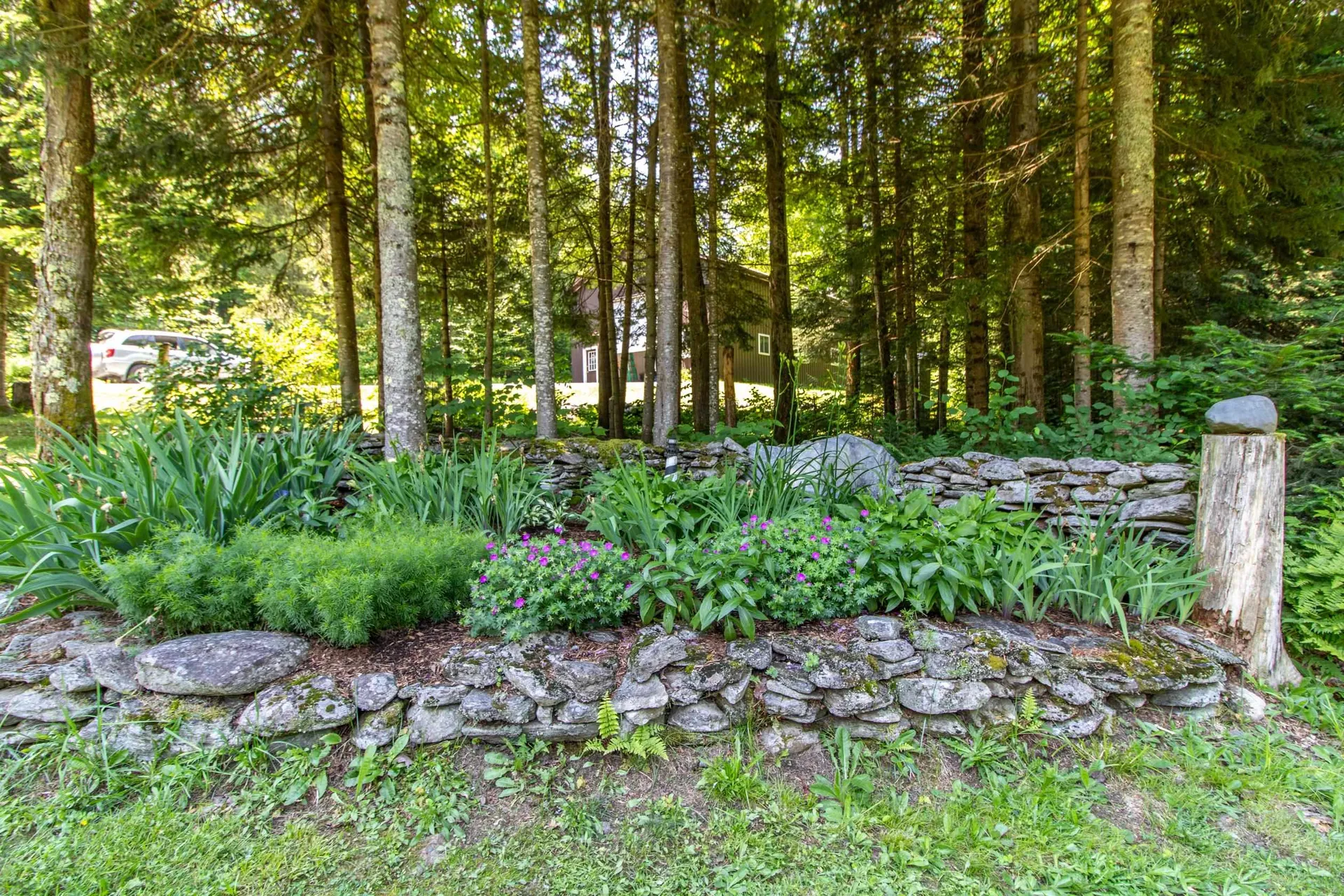 2446 Buck Hill Road Westfield VT 05874