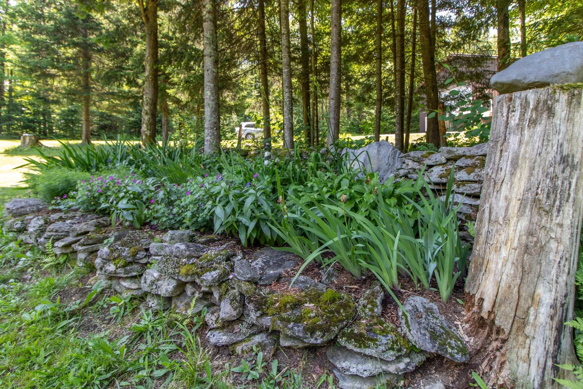 2446 Buck Hill Road Westfield VT 05874