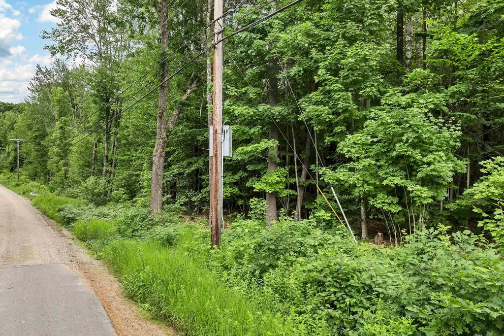 115 County Farm Road Ossipee NH 03814-0067