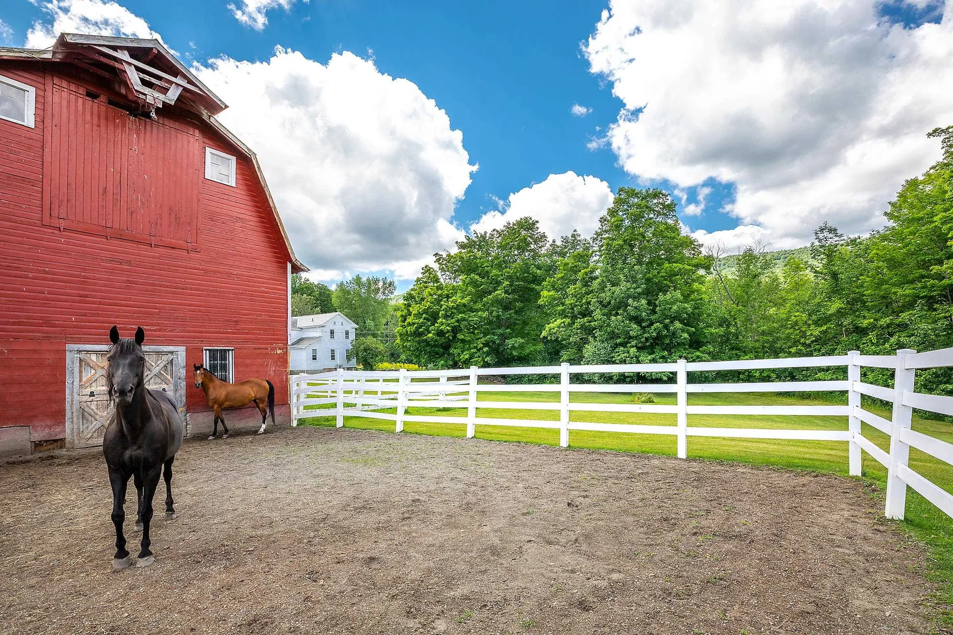 2512 Tinmouth Road Danby VT 05739