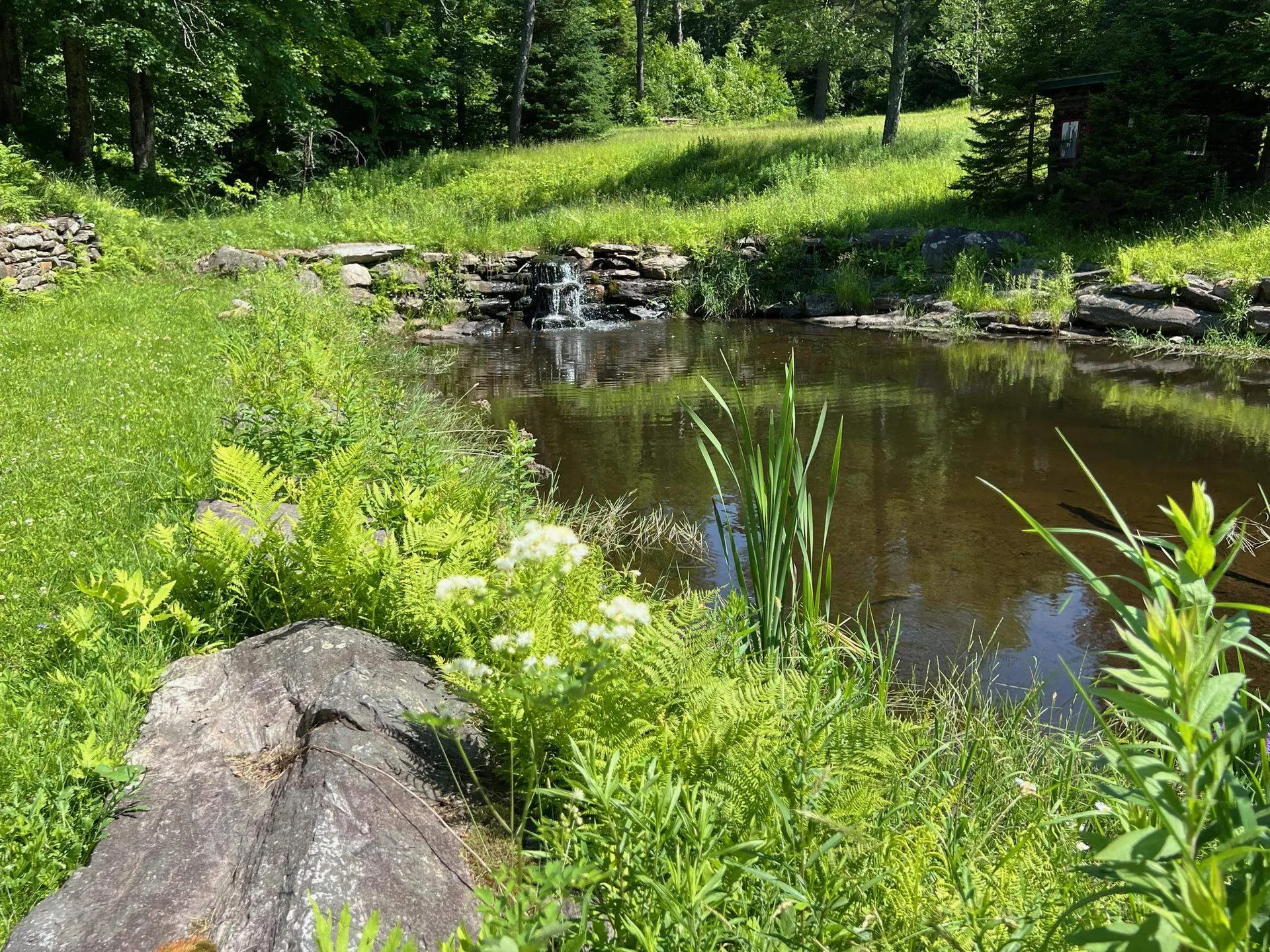 2253 White Road Windham VT 05359