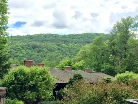 7 Hathorn Hill Woodstock VT 05091