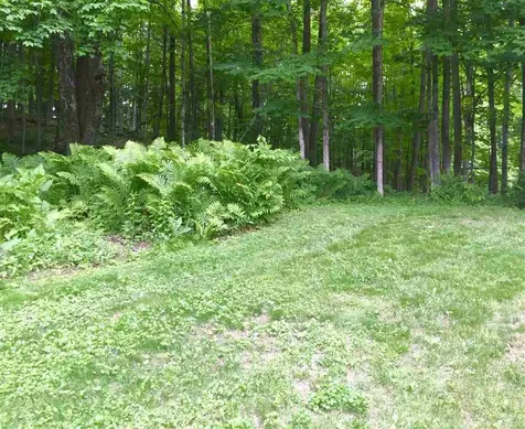 7 Hathorn Hill Woodstock VT 05091