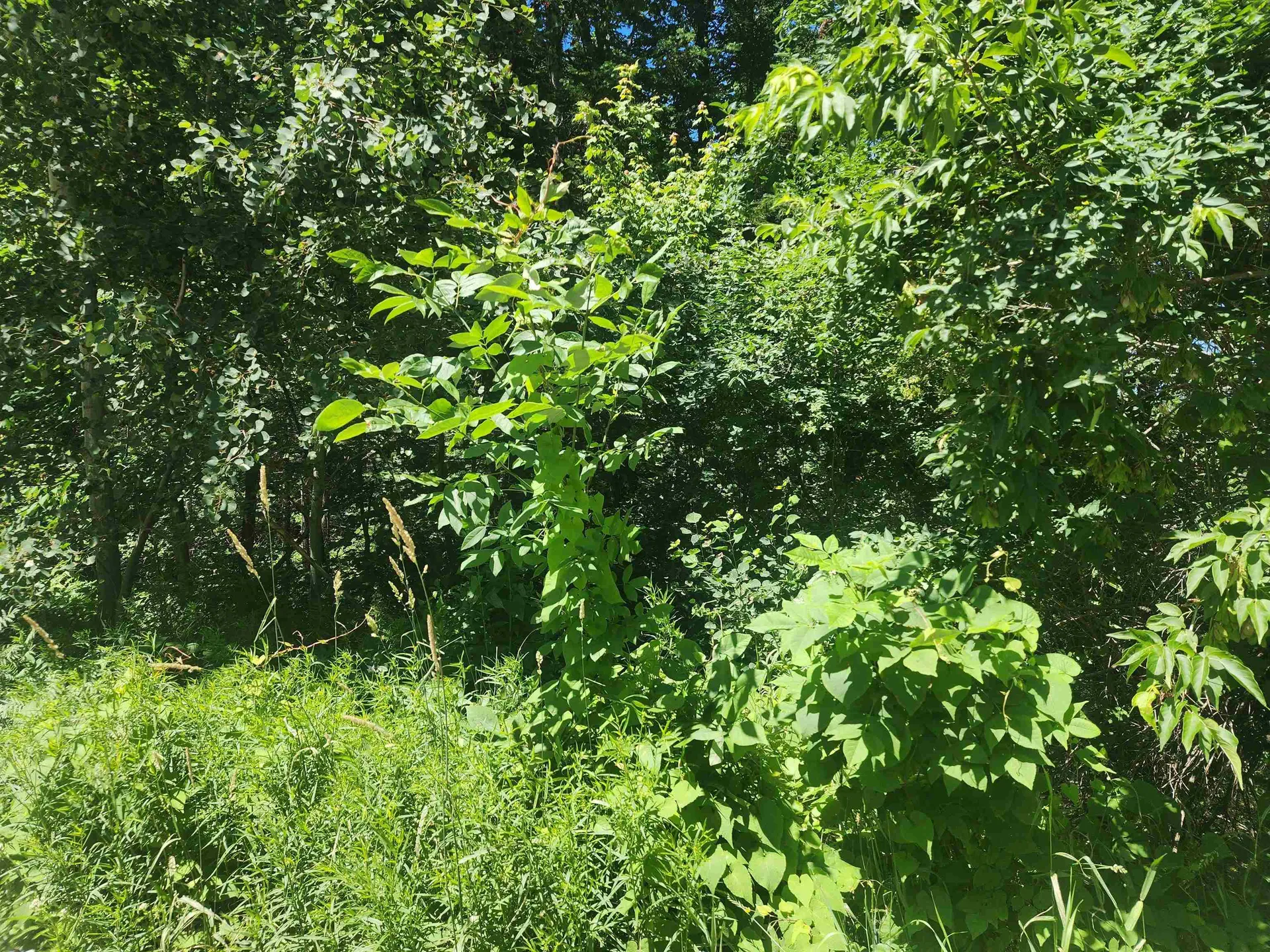 00 Mcgee Street Berlin NH 03570