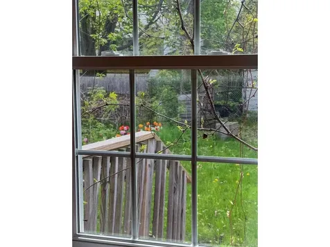201 Park Street Burlington VT 05401