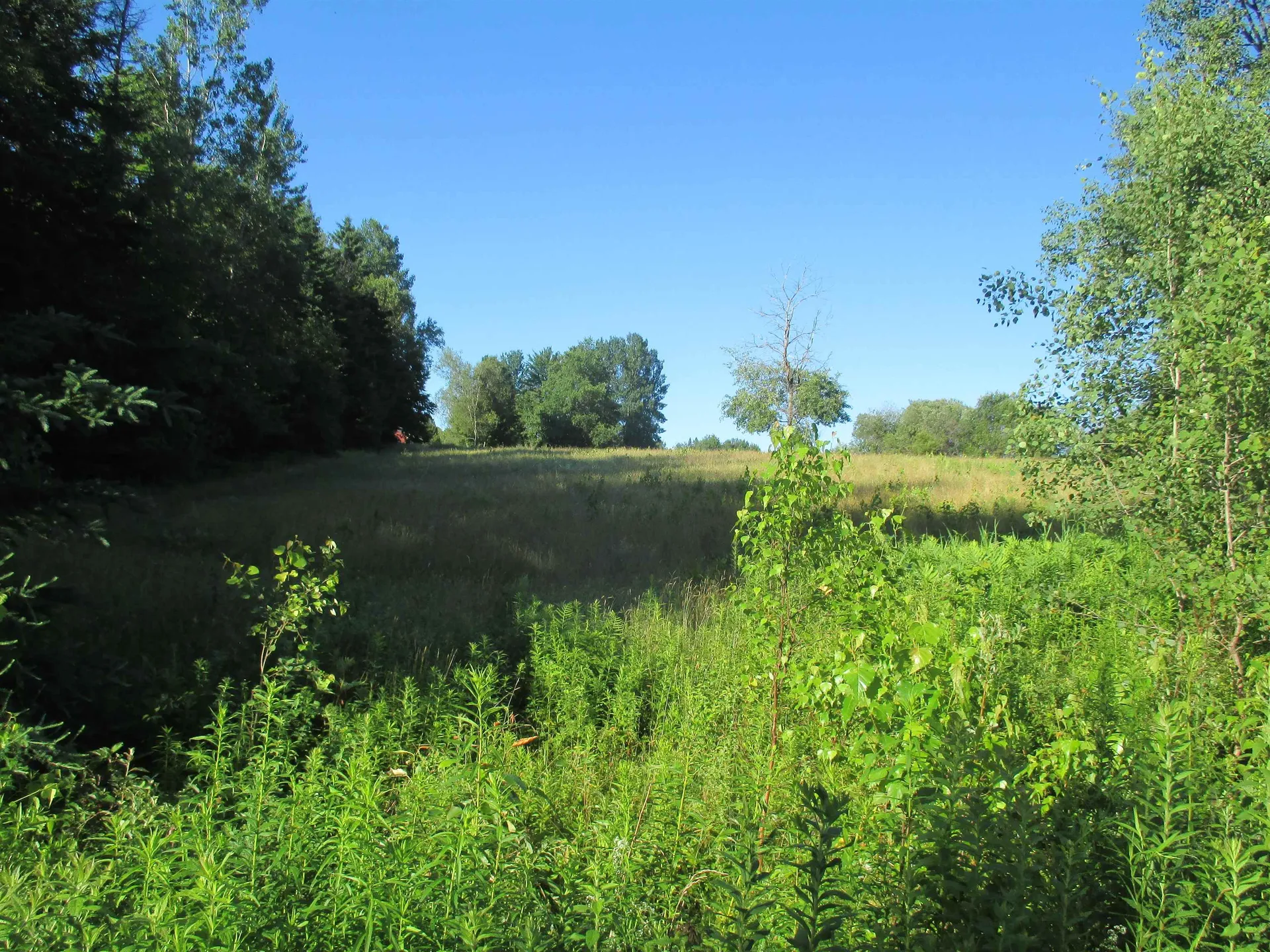 230 Bushey Hill Road Derby VT 05829