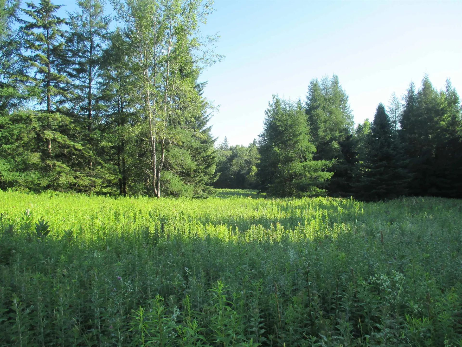 230 Bushey Hill Road Derby VT 05829