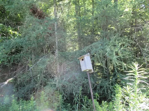 230 Bushey Hill Road Derby VT 05829