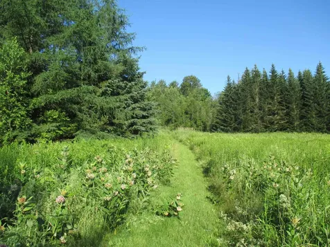 230 Bushey Hill Road Derby VT 05829