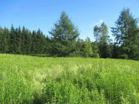 230 Bushey Hill Road Derby VT 05829