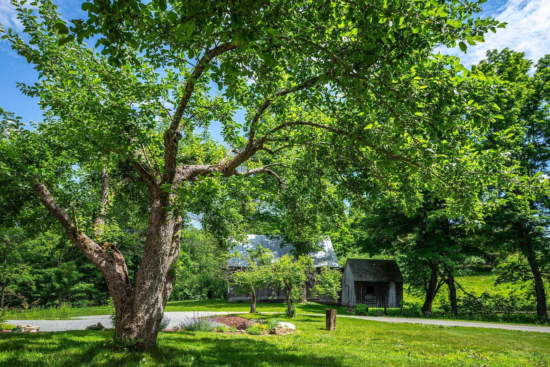 61 Academy Circle Woodstock VT 05071