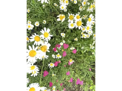 23 Eagle Lane South Hero VT 05486