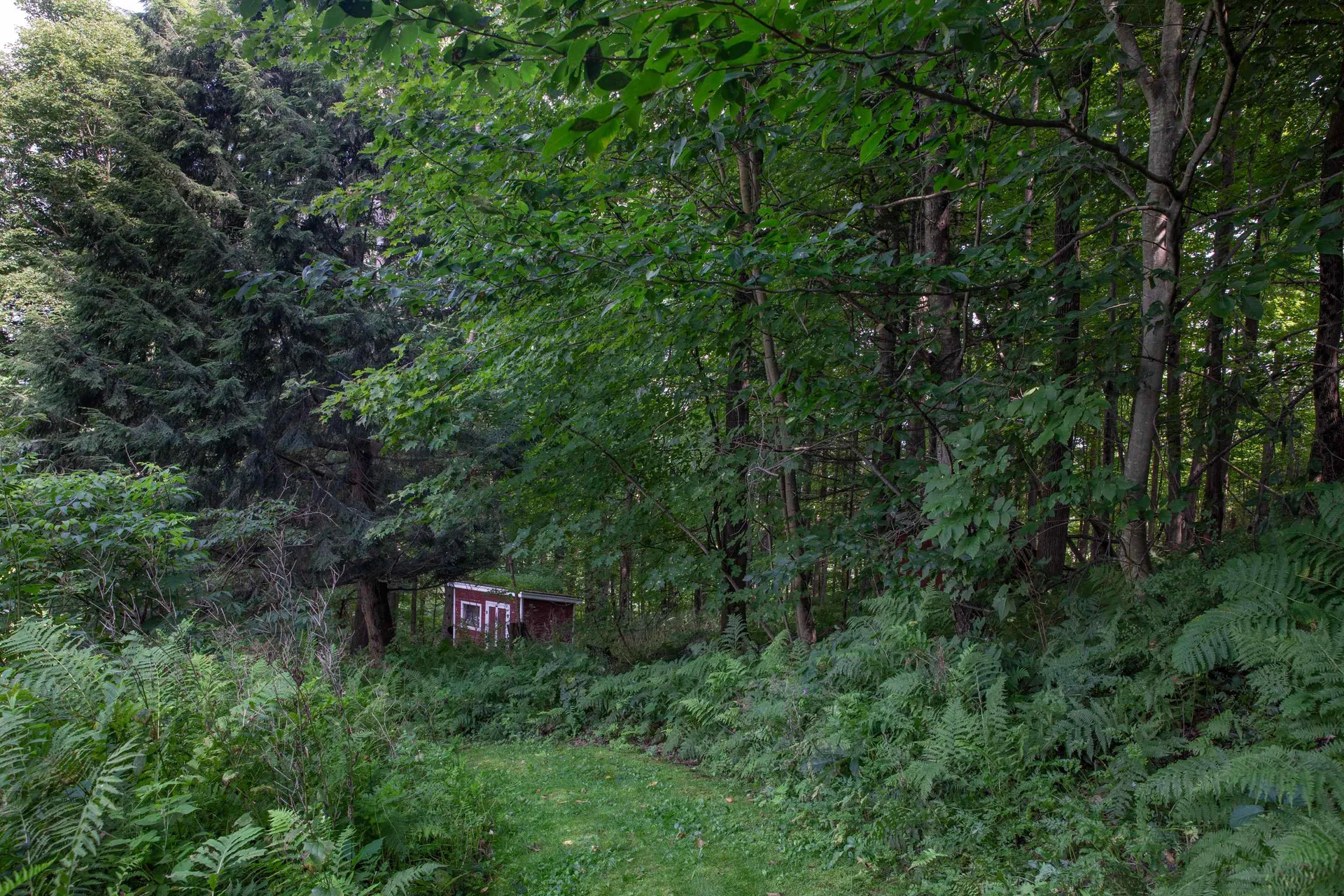 37 Thomas Street Barre City VT 05641