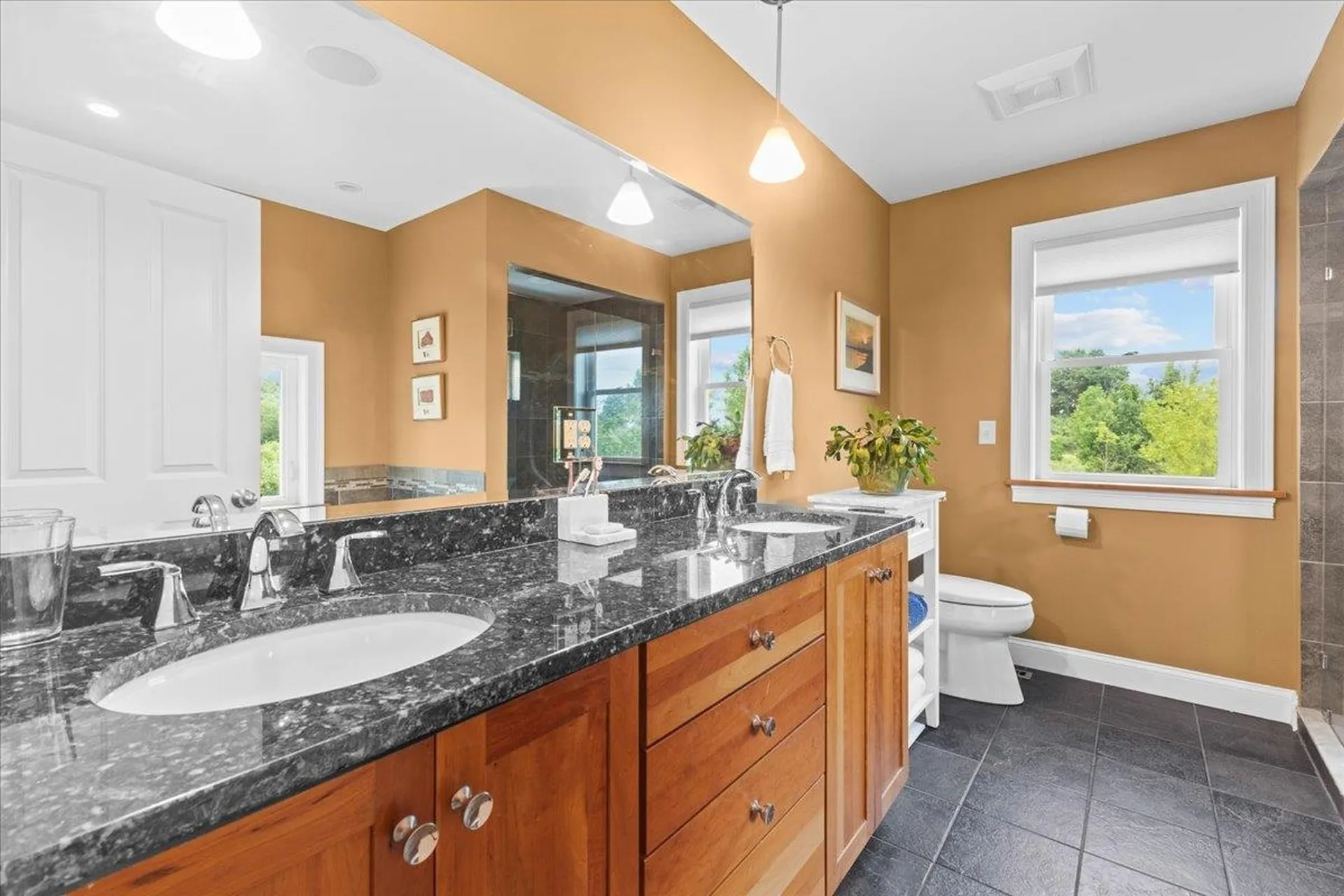 70 Foulsham Hollow Road South Burlington VT 05403