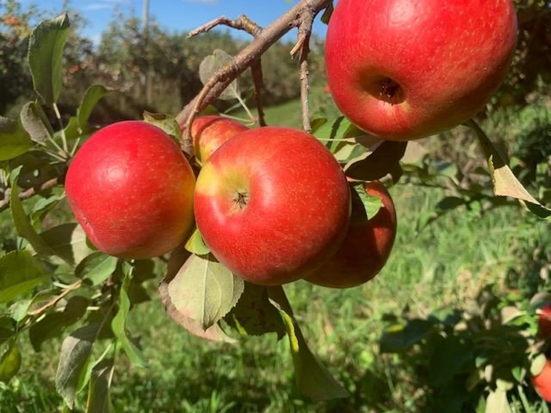 0 North River Street Swanton VT 05488