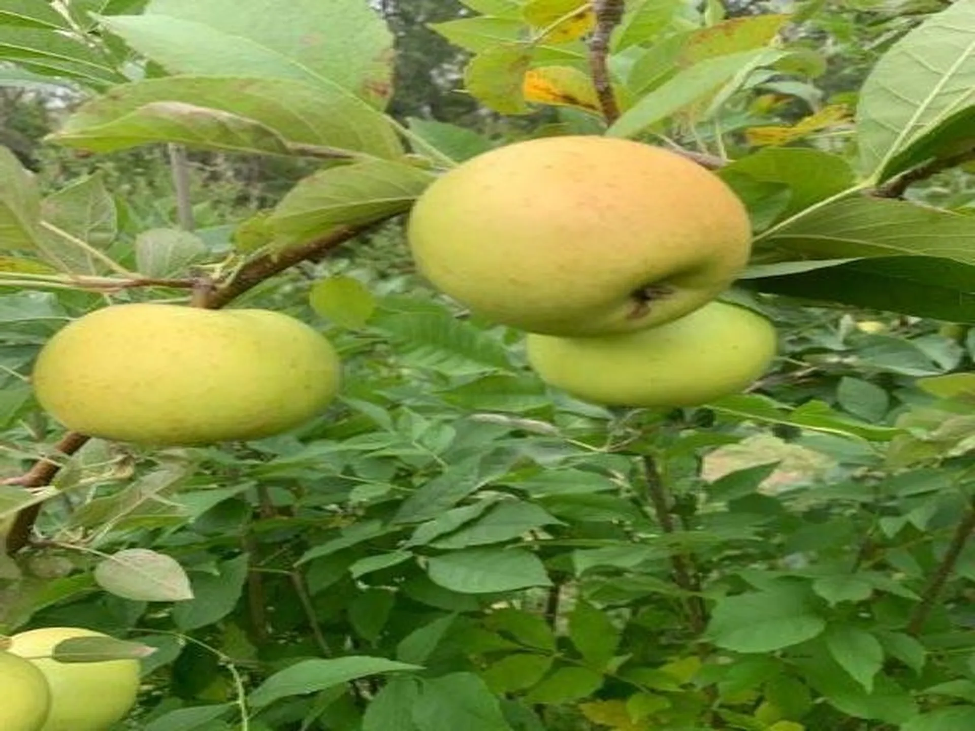 0 North River Street Swanton VT 05488